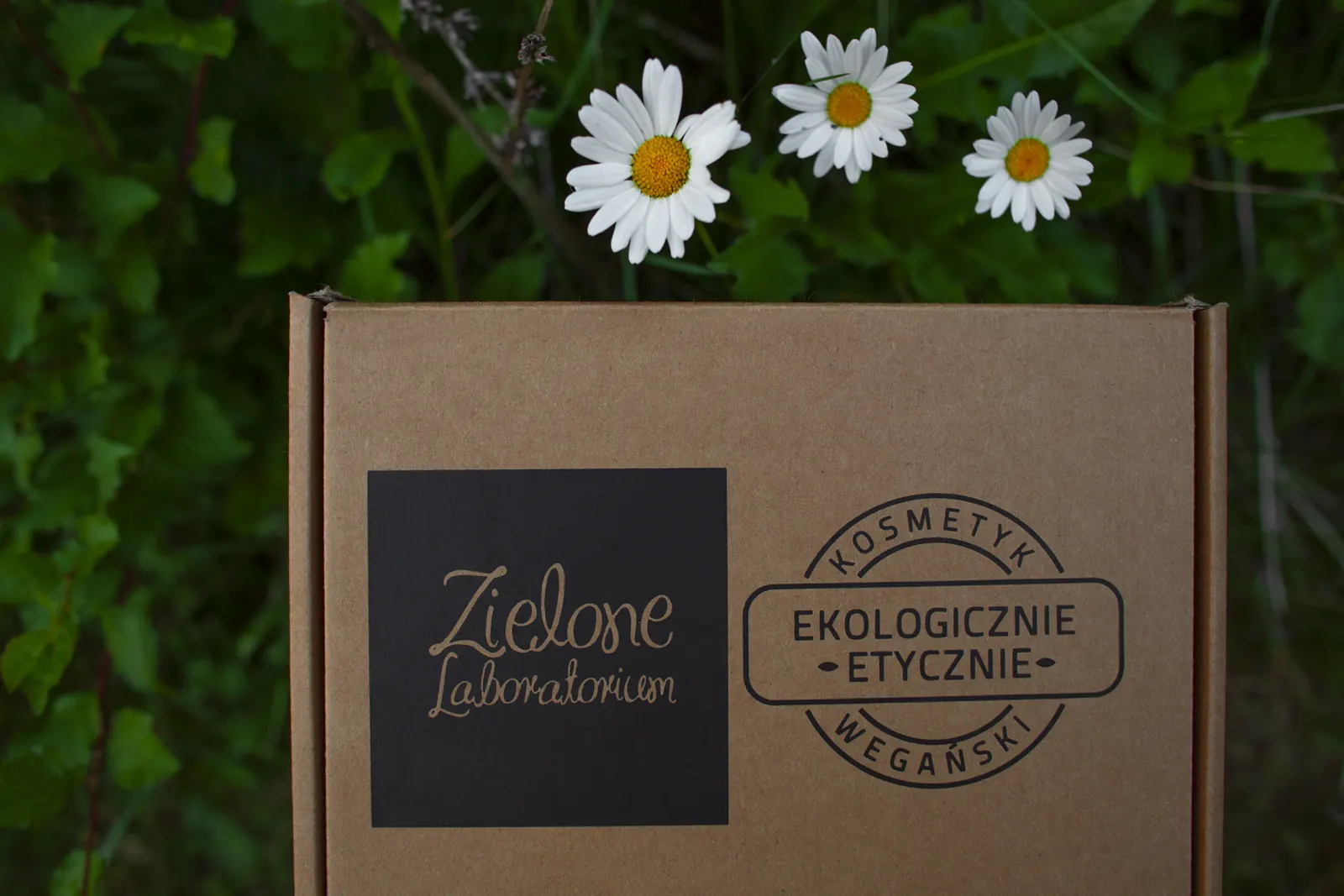 Kartonowe pudełko Zielonego Laboratorium z pieczęcią Ekologicznie, etycznie, wegańskie, w trawie ze stokrotkami